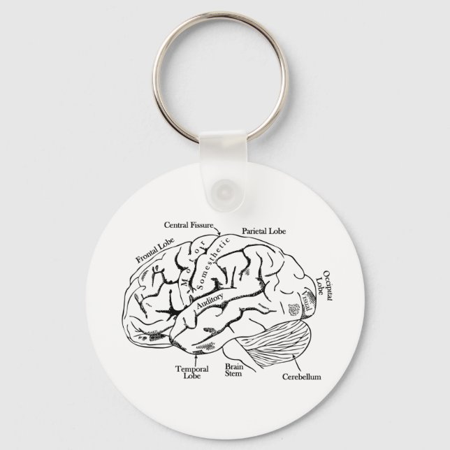 Human Brain Keychain (Front)