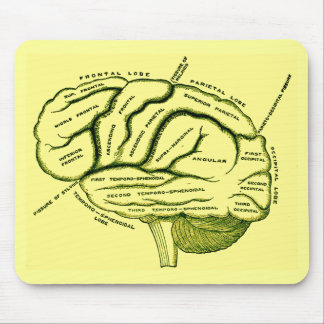 Human Brain Mouse Pad