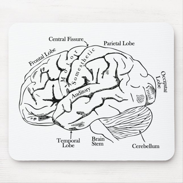 Human Brain Mouse Pad (Front)