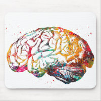 Human Brain