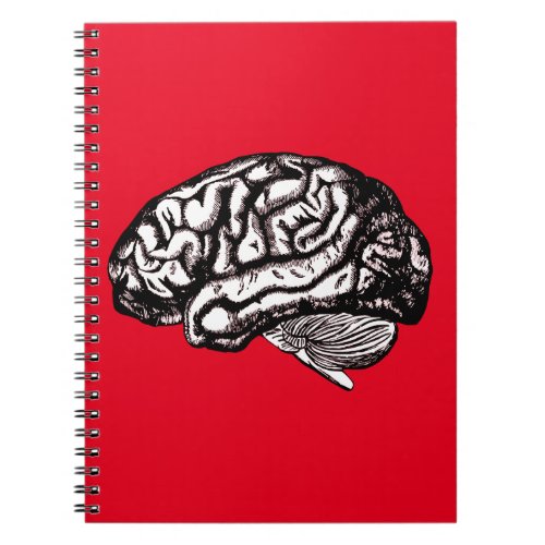 human brain notebook
