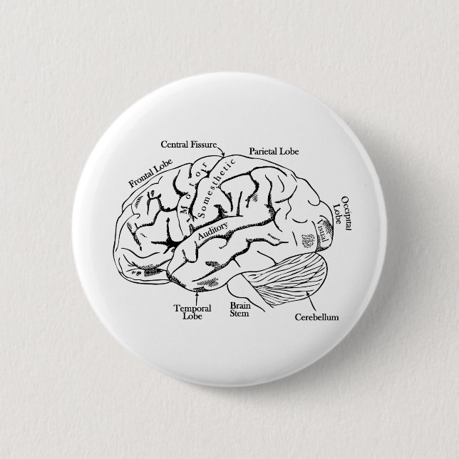 Human Brain Pinback Button (Front)