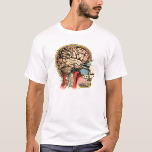 Human Brain Skull Cervical Spine T-Shirt