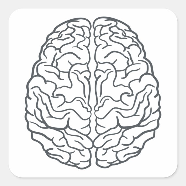 Human Brain Square Sticker (Front)