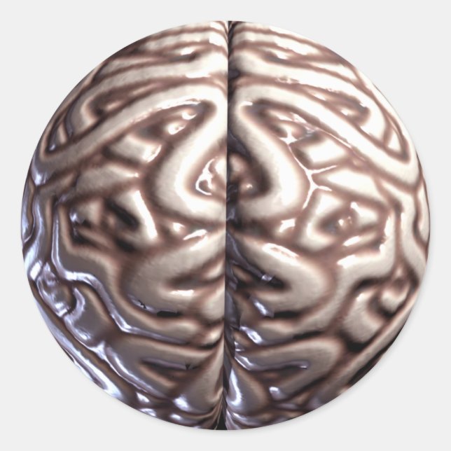 Human Brain Stickers (Front)