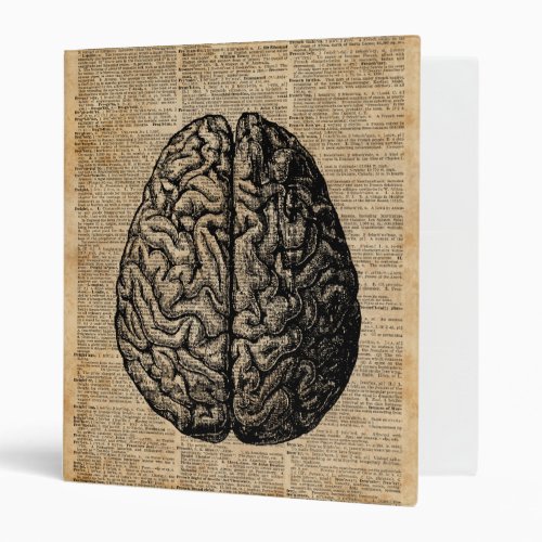 Human Brain Vintage Illustration Dictionary Art Binder