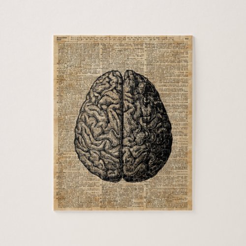 Human Brain Vintage Illustration Dictionary Art Jigsaw Puzzle