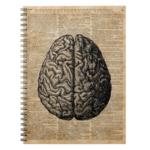 Human Brain Vintage Illustration Dictionary Art Notebook