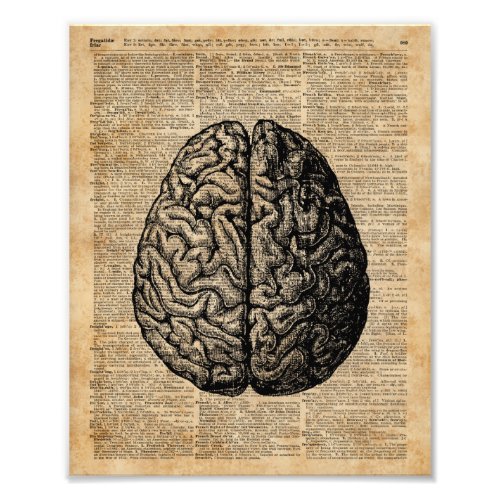 Human Brain Vintage Illustration Dictionary Art Photo Print