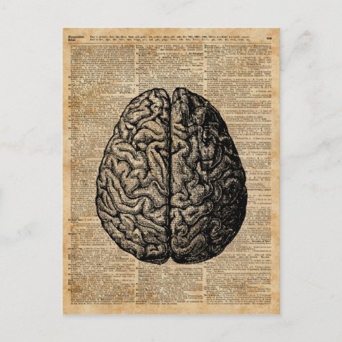 Human Brain Vintage Illustration Dictionary Art Postcard