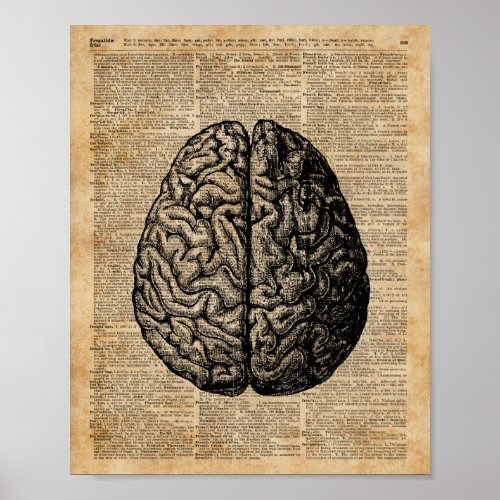 Human Brain Vintage Illustration Dictionary Art Poster