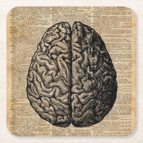 Human Brain Vintage Illustration Dictionary Art Square Paper Coaster