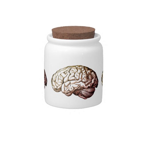 Human Brain Vintage Print Cork Lid Porcelain Jar