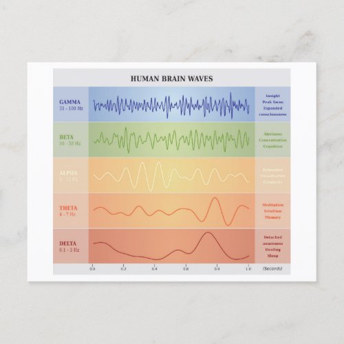 Human Brain Waves Chart Design Rainbow Colors Announcement Postcard