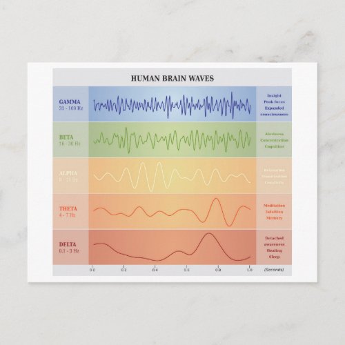 Human Brain Waves Chart Design Rainbow Colors Postcard
