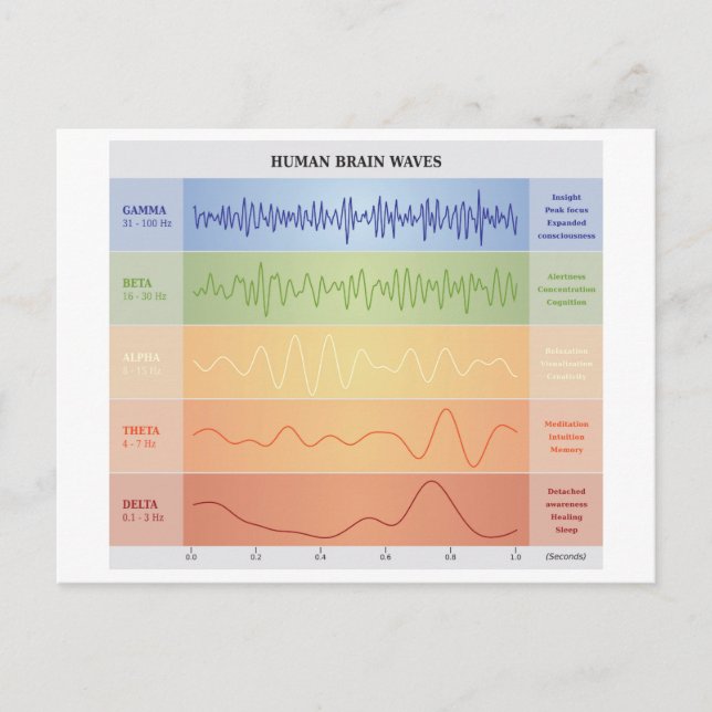 Human Brain Waves Chart Design Rainbow Colors Postcard (Front)