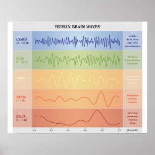 Human Brain Waves Diagram - Rainbow Colors Poster