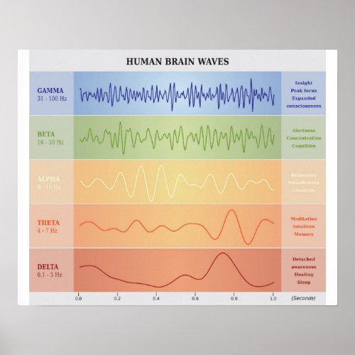 Human Brain Waves Diagram _ Rainbow Colors Poster