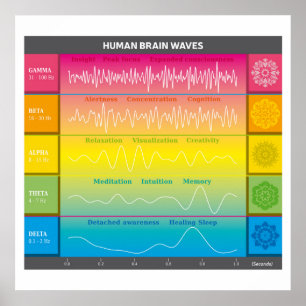Human Brain Waves Diagram - Rainbow Colors Poster