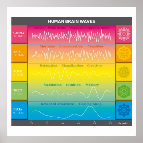 Human Brain Waves Diagram _ Rainbow Colors Poster