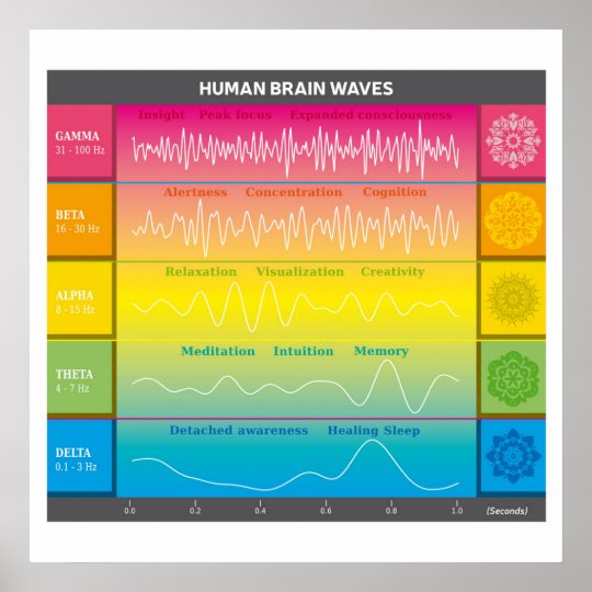 Human Brain Waves Diagram Rainbow Colors Poster Zazzle