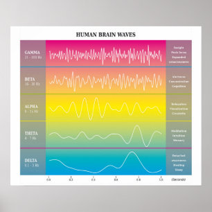 Human Brain Waves Diagram - Rainbow Colors Poster
