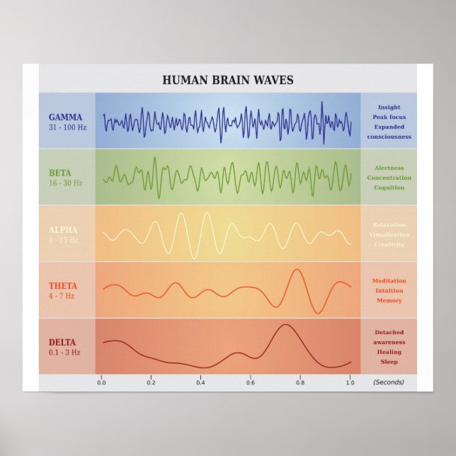 Human Brain Waves Diagram - Rainbow Colors Poster (Front)
