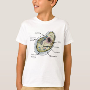 Human Cell Biology T-Shirts