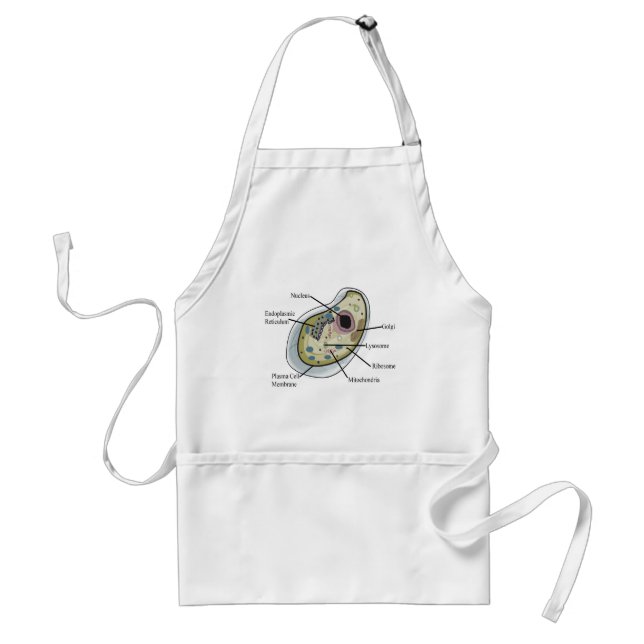 Human Cell Biology T-Shirts Adult Apron (Front)