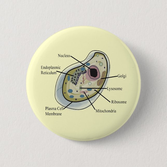 Human Cell Biology T-Shirts Button (Front)