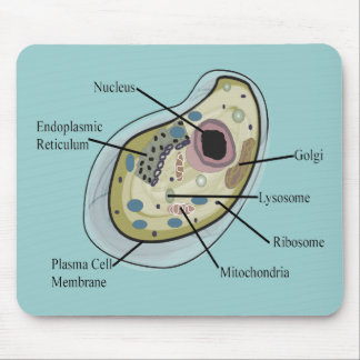 Human Cell Biology T-Shirts Mouse Pad