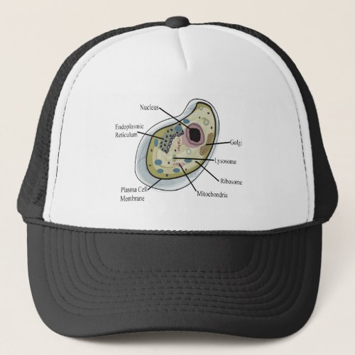 Human Cell Biology T_Shirts Trucker Hat