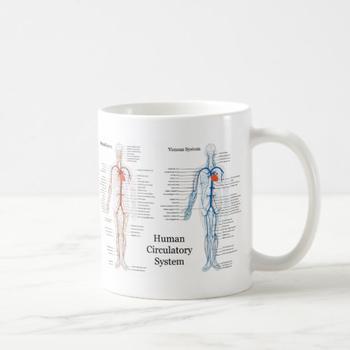 Human Circulatory System of Arteries and Veins Coffee Mug