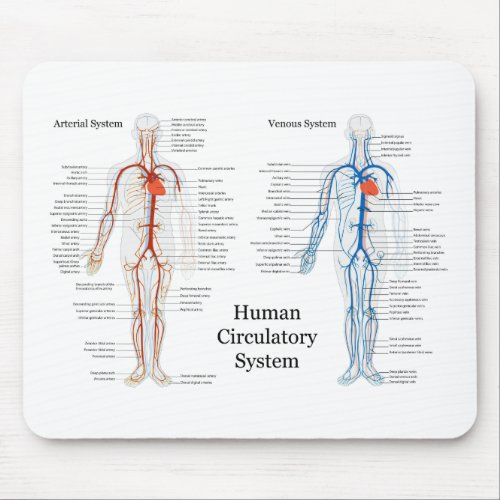 Human Circulatory System of Arteries and Veins Mouse Pad