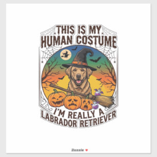 Human Costume Labrador Retriever Halloween Witch H Sticker