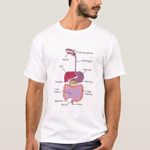 Human Digestive System Gut Gastrointestinal Tract T_Shirt