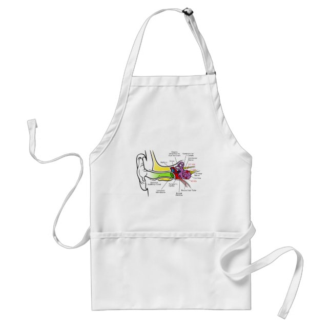 Human Ear Diagram with Cochlear Frequency Mapping Adult Apron (Front)