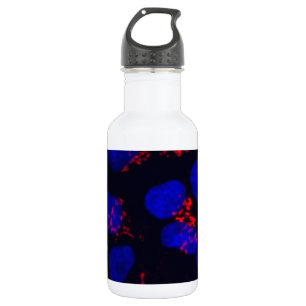 Human embryonic stem cells stainless steel water bottle