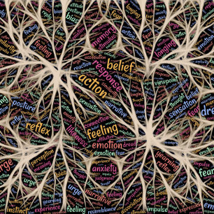 Human Experience Inspirational Word Art   Poster