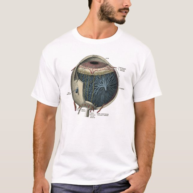Human Eye Anatomy 1902 Vintage T-Shirt (Front)