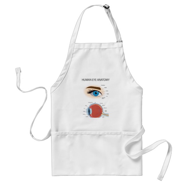 Human eye anatomy adult apron (Front)