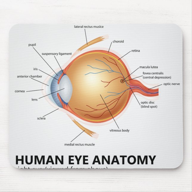 Human Eye Anatomy of Right Eye Mouse Pad (Front)