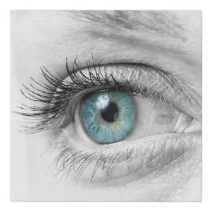 Human eye closeup faux canvas print