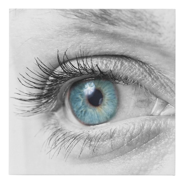 Human eye closeup faux canvas print (Front)