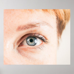 Human eye closeup poster