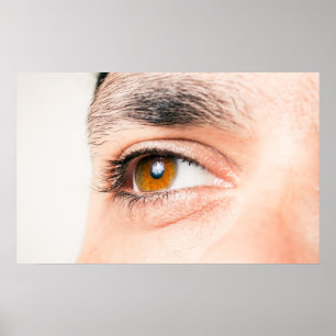 Human eye closeup poster