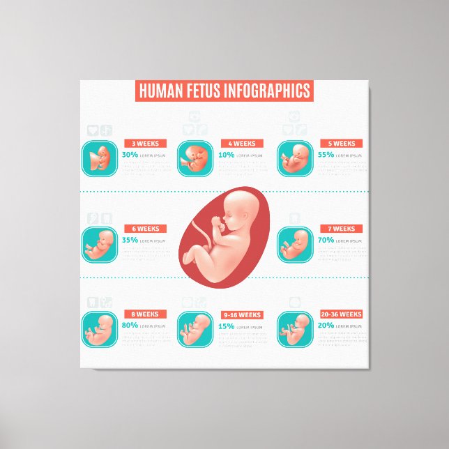 Human Fetus Infographics   Canvas Print (Front)