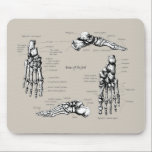 Human foot mouse pad<br><div class="desc">Bones of the human foot</div>