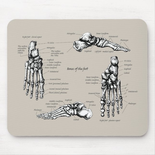 Human foot mouse pad (Front)