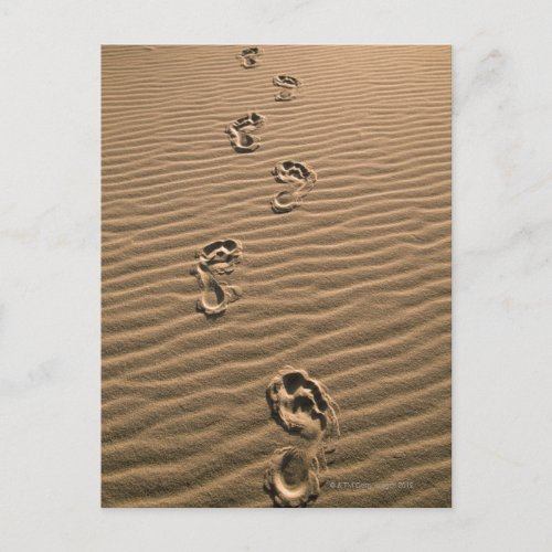 Human footprints on sandy beach postcard